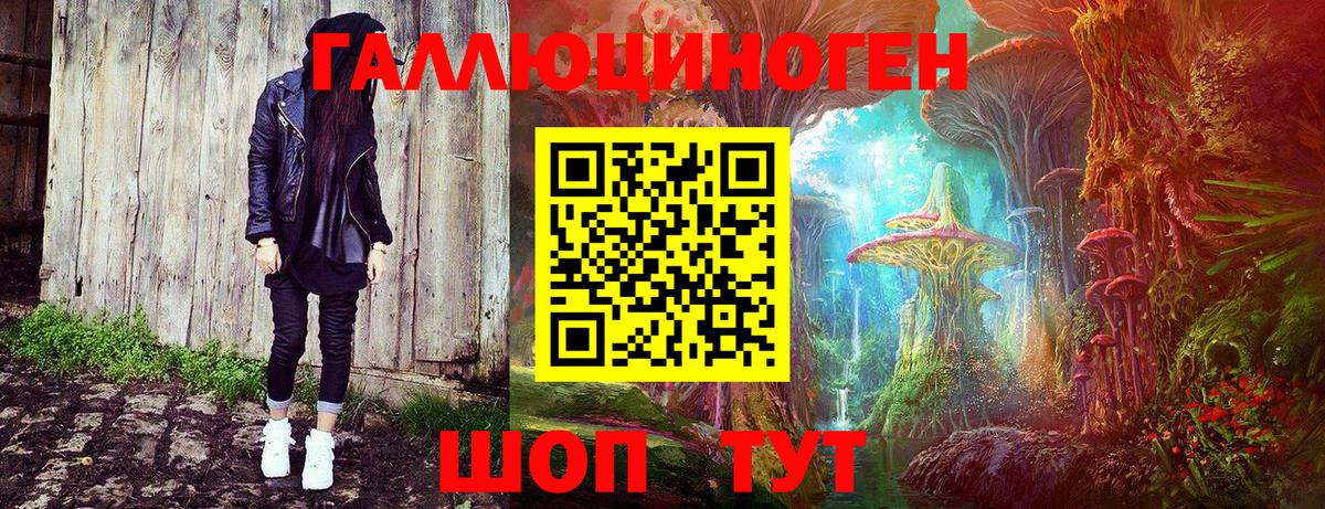 купить  цена  Галлюциногенные грибы Psilocybine cubensis  Вход с VPN  Гусев 