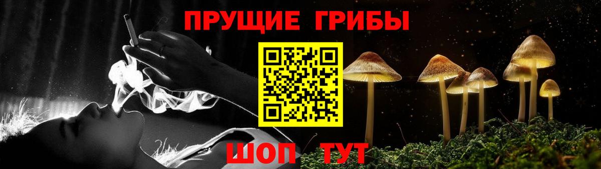 Галлюциногенные грибы мухоморы Гусев